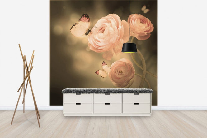 PHOTOWALL / Apricot Kiss (e40588)