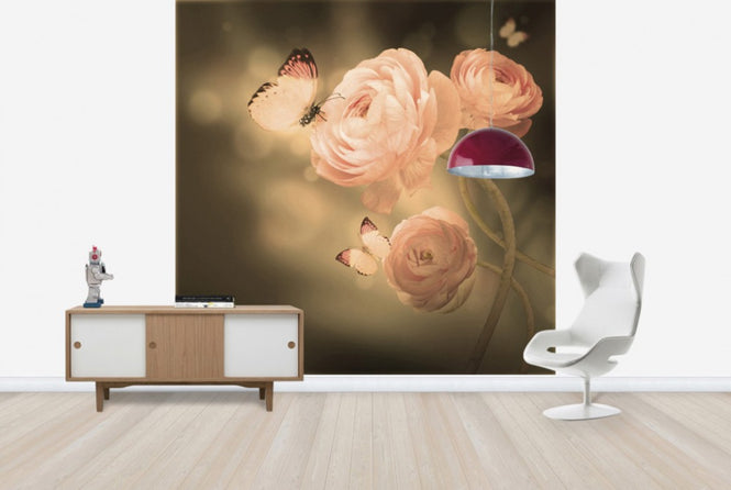 PHOTOWALL / Apricot Kiss (e40588)