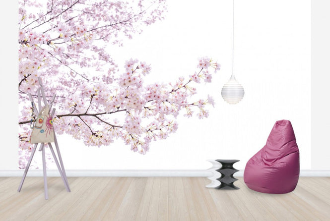 PHOTOWALL / Divine Cherry Blossoms (e40595)