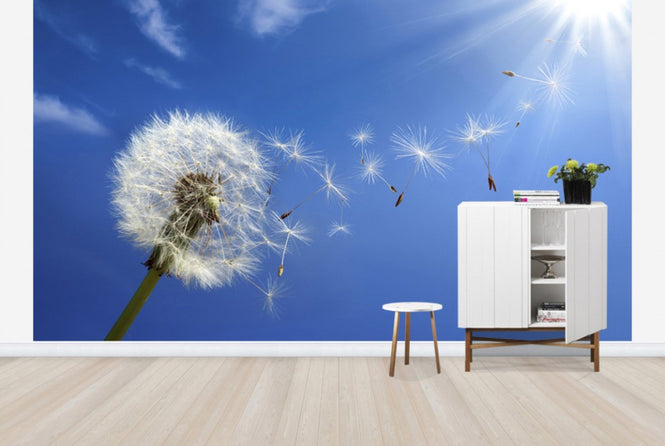 PHOTOWALL / Dreams of Dandelion (e40596)