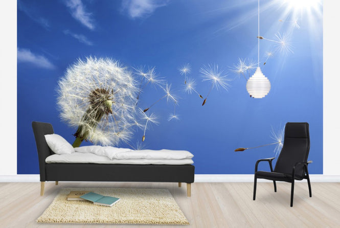 PHOTOWALL / Dreams of Dandelion (e40596)