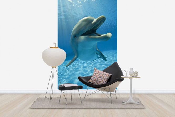 PHOTOWALL / Encounter with Dolphin (e40705)