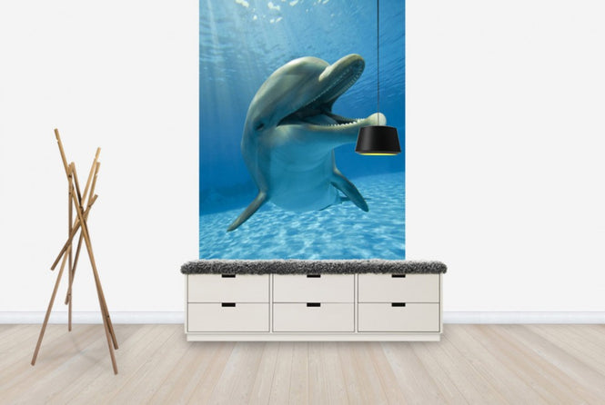 PHOTOWALL / Encounter with Dolphin (e40705)