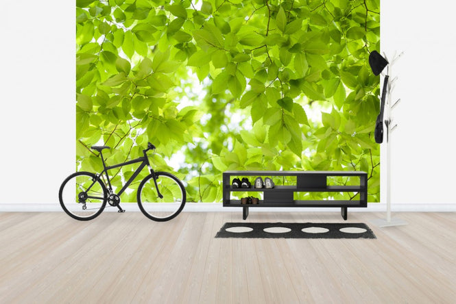PHOTOWALL / Green Leaves Background (e40694)