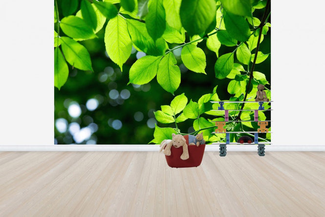 PHOTOWALL / Greenery Leaves Background (e40696)