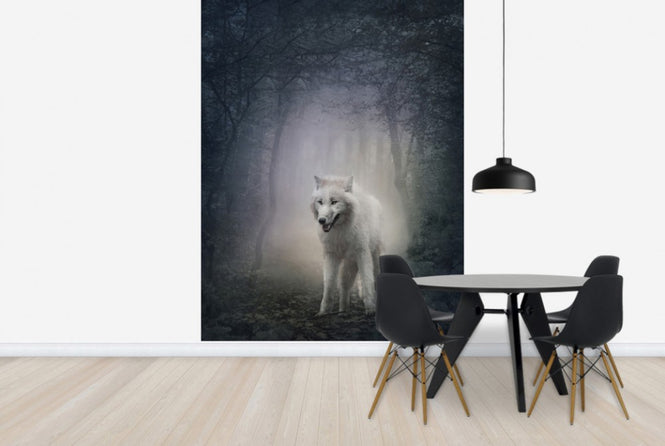 PHOTOWALL / White Wolf in the Night Forest (e40710)