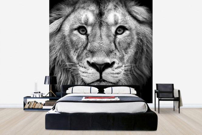 PHOTOWALL / Wise Lion, black and white (e40711)