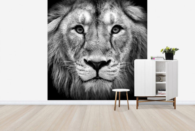 PHOTOWALL / Wise Lion, black and white (e40711)