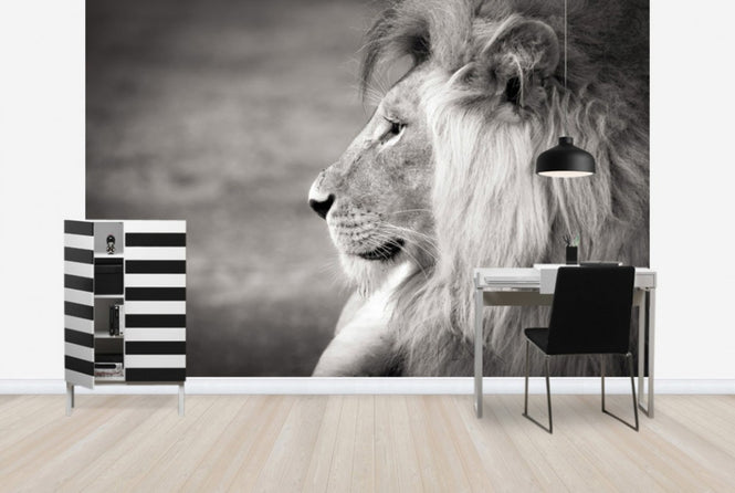 PHOTOWALL / Portrait of a Predator, black and white (e40712)