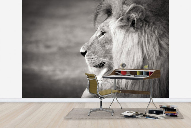 PHOTOWALL / Portrait of a Predator, black and white (e40712)