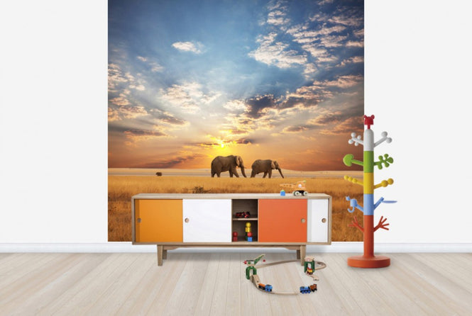 PHOTOWALL / Savannah Sunset (e40713)