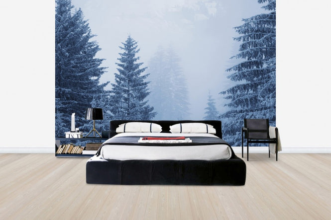 PHOTOWALL / Coniferous Forest in Austria, Europe (e40736)