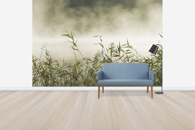 PHOTOWALL / Yngaren in Fog, Sweden (e40753)