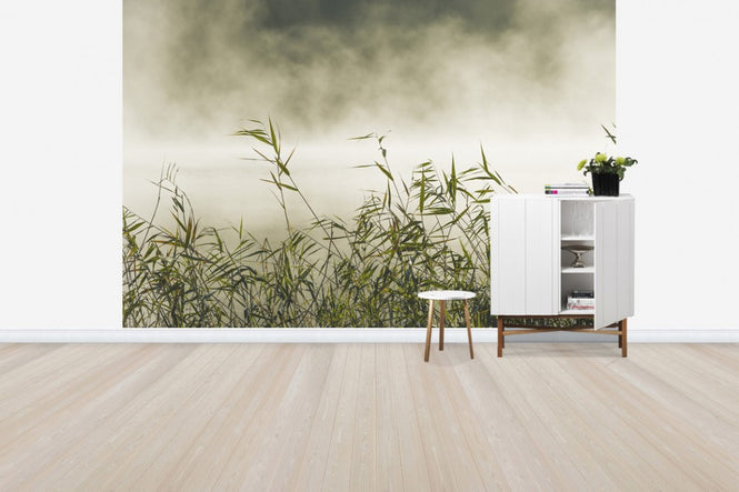 PHOTOWALL / Yngaren in Fog, Sweden (e40753)