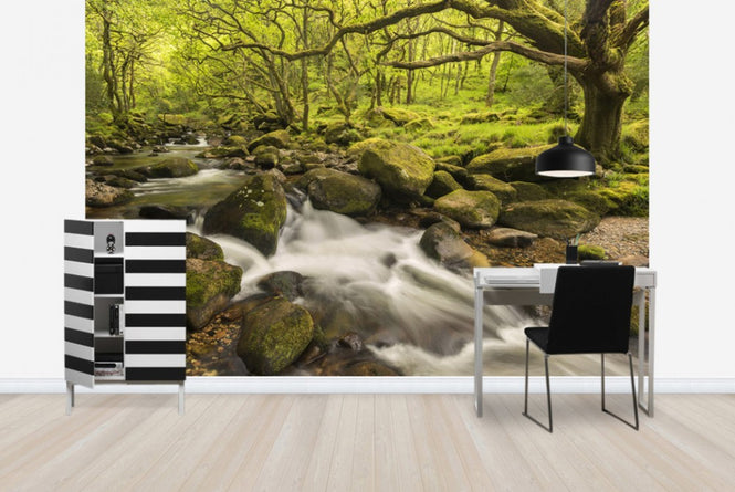 PHOTOWALL / River Plym in Dewerstone Wood, Devon, England, UK (e40854)