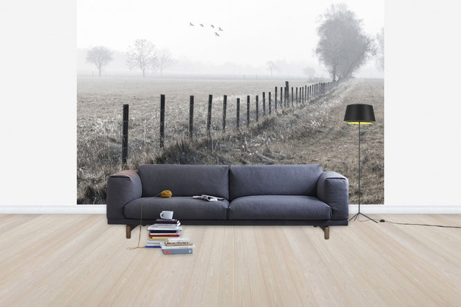 PHOTOWALL / Foggy Morning (e30761)