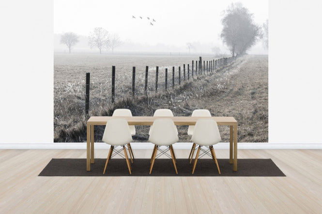 PHOTOWALL / Foggy Morning (e30761)