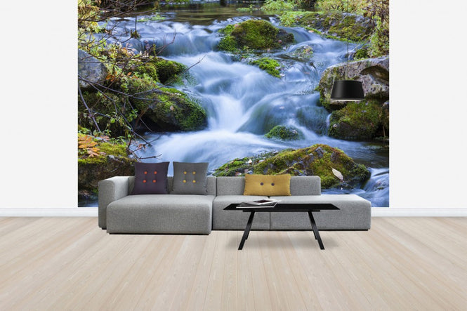 PHOTOWALL / Little Stream (e30773)