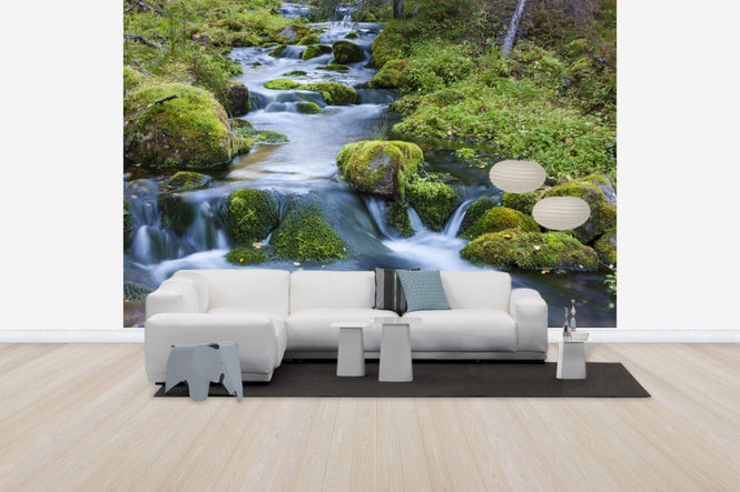 PHOTOWALL / Finnish Stream (e41146)