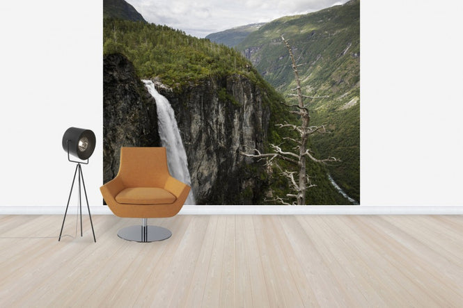 PHOTOWALL / Bare Tree at Vettisfossen (e31067)
