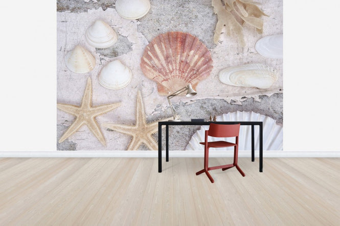 PHOTOWALL / Beach Treasures (e50207)