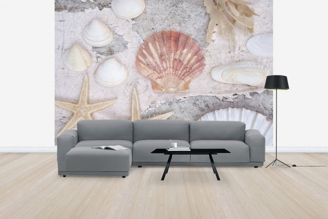 PHOTOWALL / Beach Treasures (e50207)
