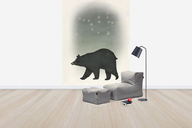 PHOTOWALL / Ursa Major (e50214)