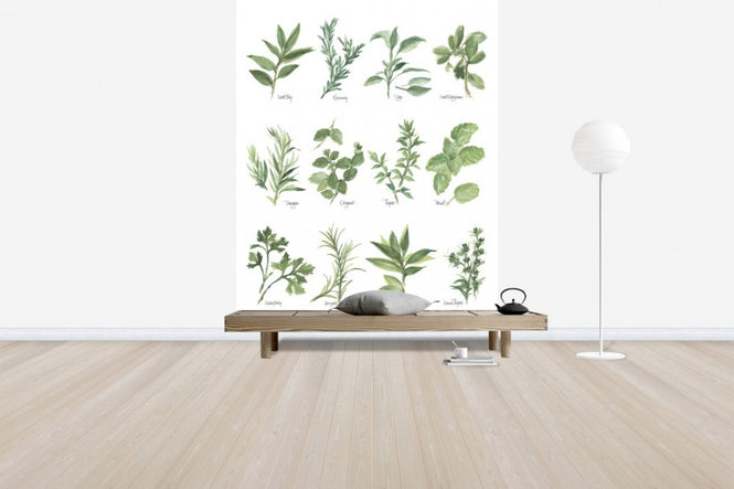 PHOTOWALL / Herb Chart (e31004)