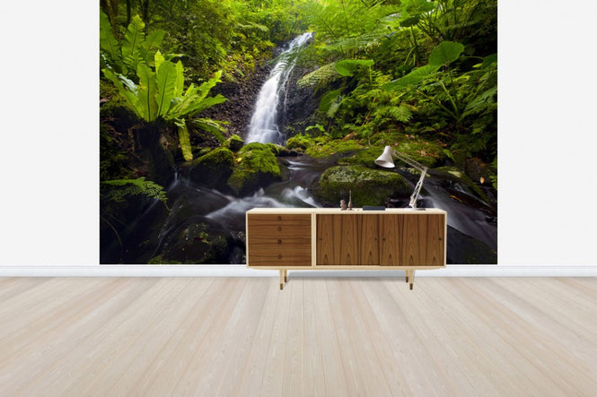PHOTOWALL / Waterfall of Nu' uuli Falls, American Samoa (e31143)