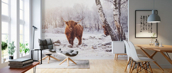 PHOTOWALL / Highland Cattle (e310106)