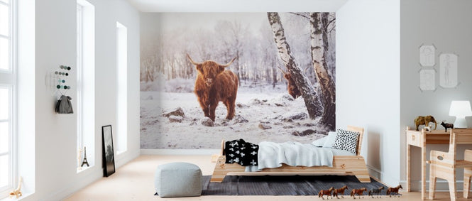 PHOTOWALL / Highland Cattle (e310106)