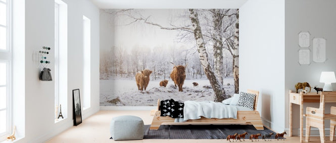 PHOTOWALL / Cattle in Snow (e310107)