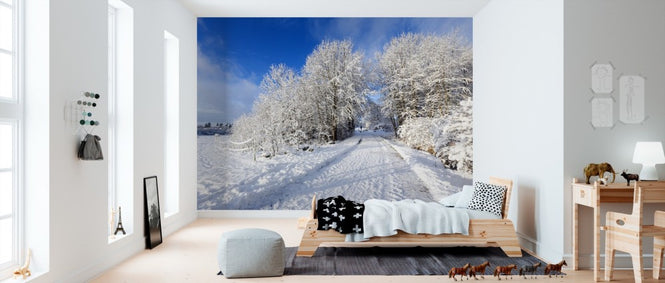 PHOTOWALL / Uppland Road (e310118)