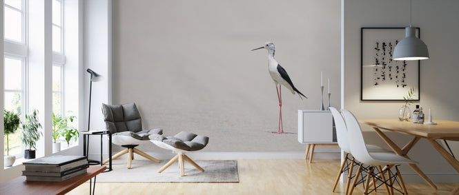 PHOTOWALL / Bird at the Beach (e310213)