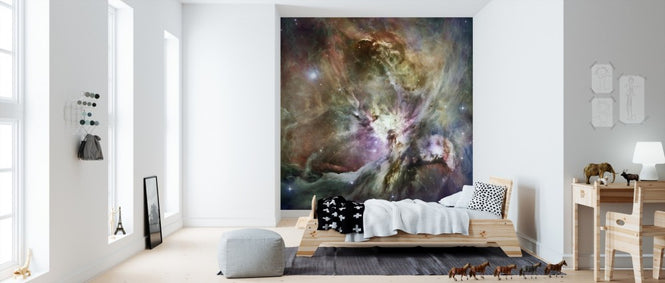 PHOTOWALL / Orion Nebula (e310261)