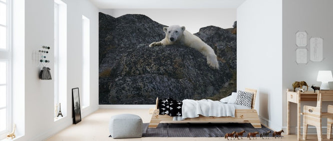 PHOTOWALL / White Polar Bear (e310287)