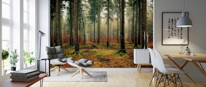 PHOTOWALL / Mossy Woods (e310491)