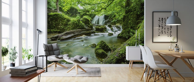 PHOTOWALL / Waterfall Stream (e310641)