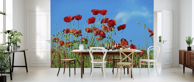 PHOTOWALL / Field of Poppies (e310646)