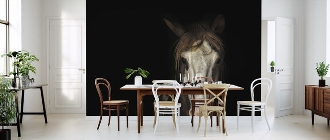 PHOTOWALL / Horse in the Dark (e310687)