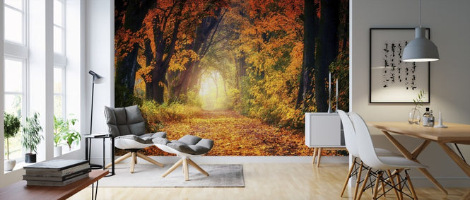 PHOTOWALL / Forest Path (e310761)