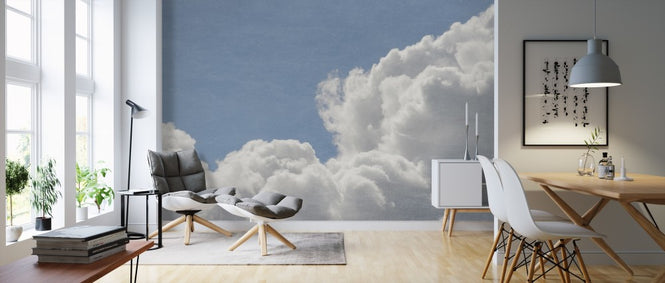 PHOTOWALL / Blush Clouds Filter (e310883)
