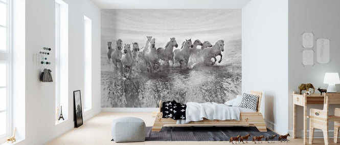 PHOTOWALL / Illusion of Power (13 horse power though) (e310978)