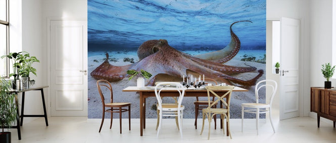 PHOTOWALL / Octopus (e311049)