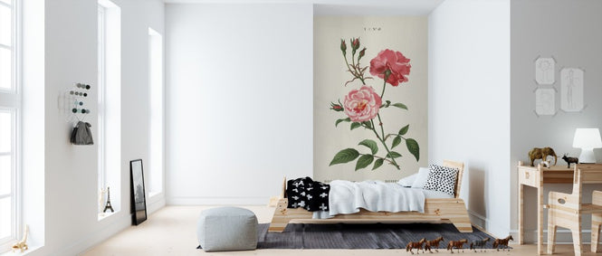 PHOTOWALL / Rosa (e311218)