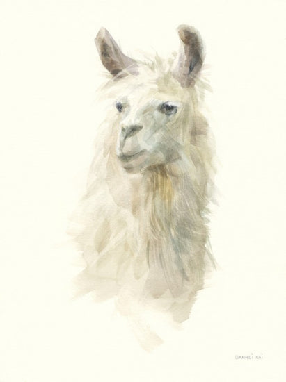 PHOTOWALL / Classic Llamas II (e311987)