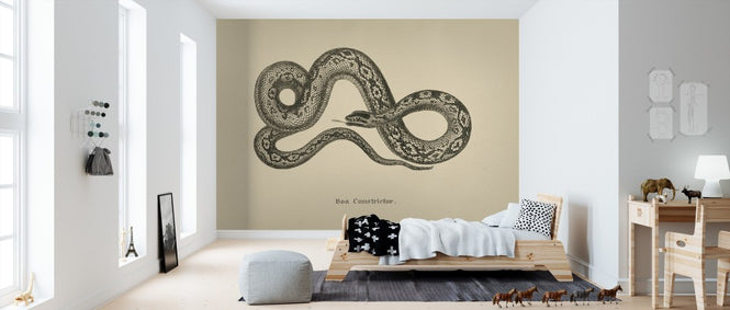 PHOTOWALL / Vintage Boa Constrictor (e312305)