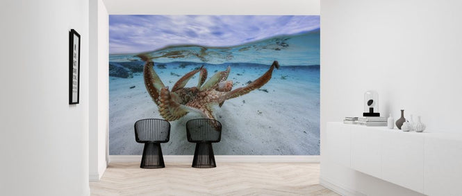 PHOTOWALL / Octopus (e312827)