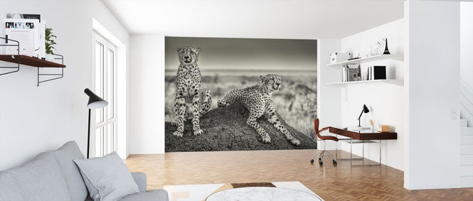 PHOTOWALL / Two Cheetahs Watching Out (e312828)