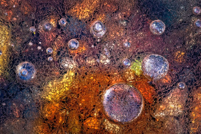 PHOTOWALL / Winter Over Autumn (e312940)
